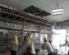 Structural Repair Works